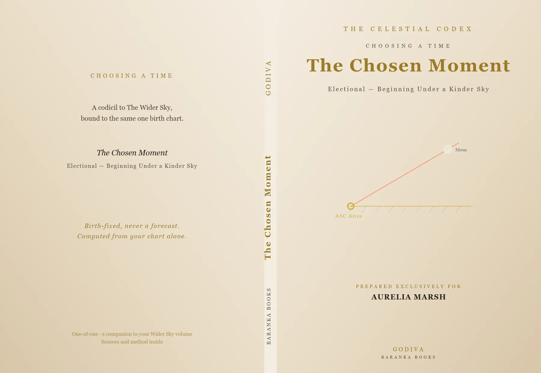 The Chosen Moment — cover