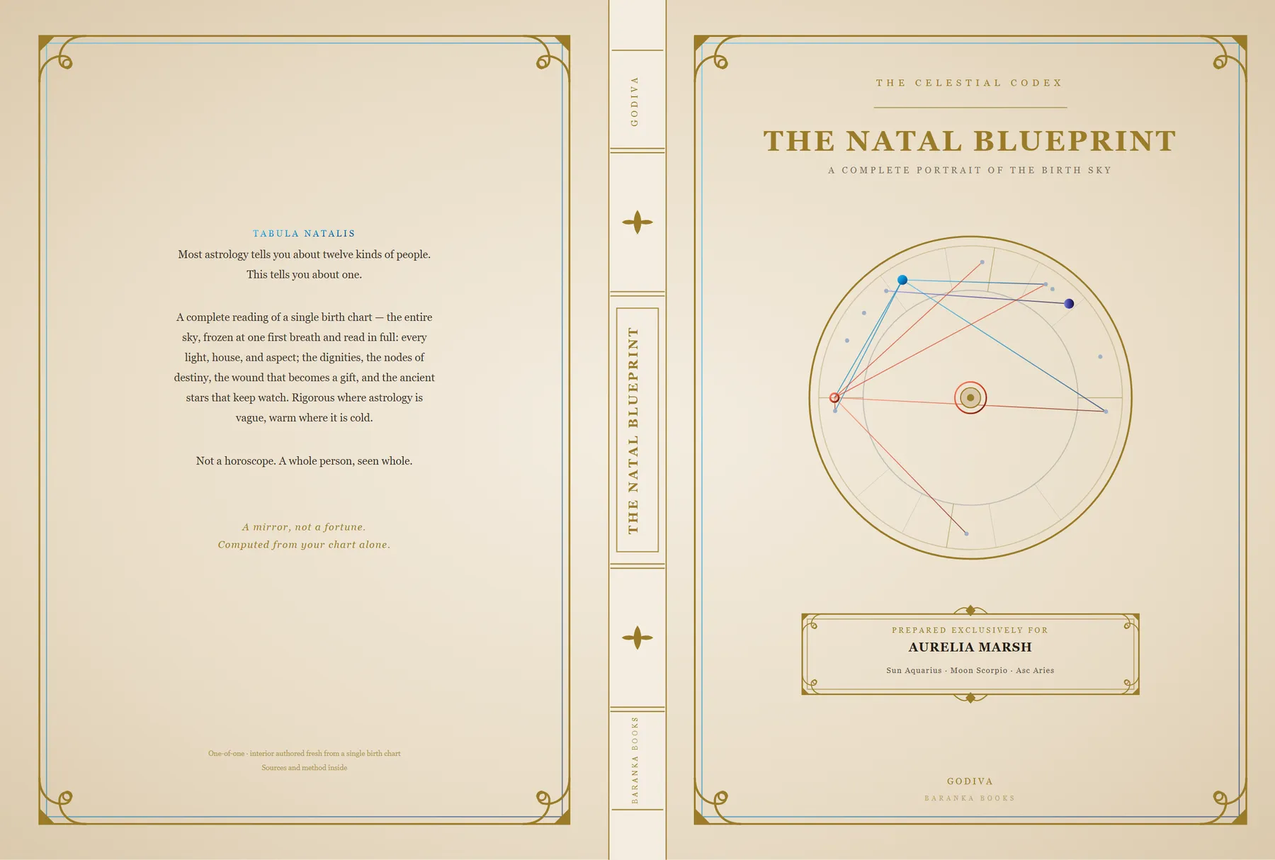 The Natal Blueprint — cover