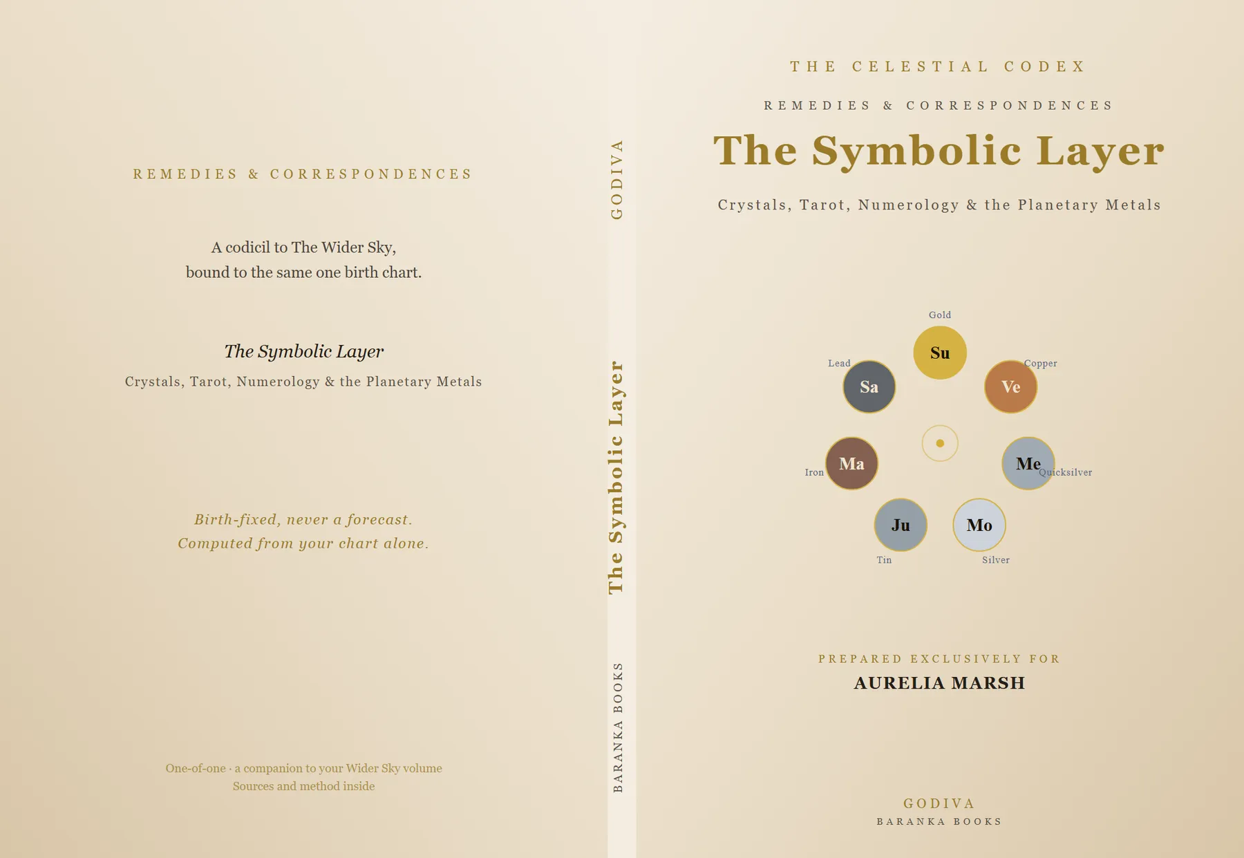 The Symbolic Layer — cover